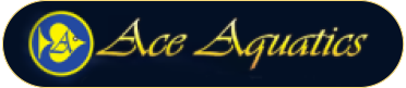 Ace Aquatics Button