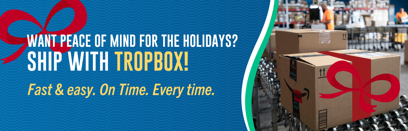 2025 Holiday campaign