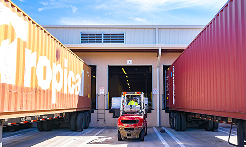 Main Services Tropical