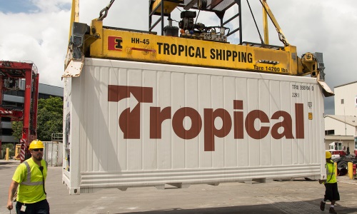 Main Services Tropical